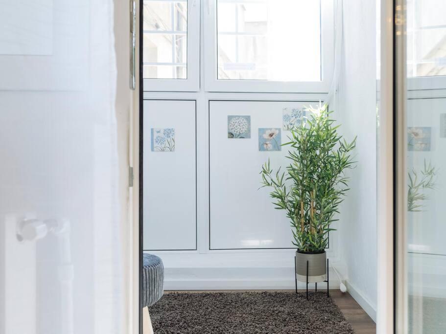 Cozy Studio Next To House Of Parliament ブカレスト エクステリア 写真